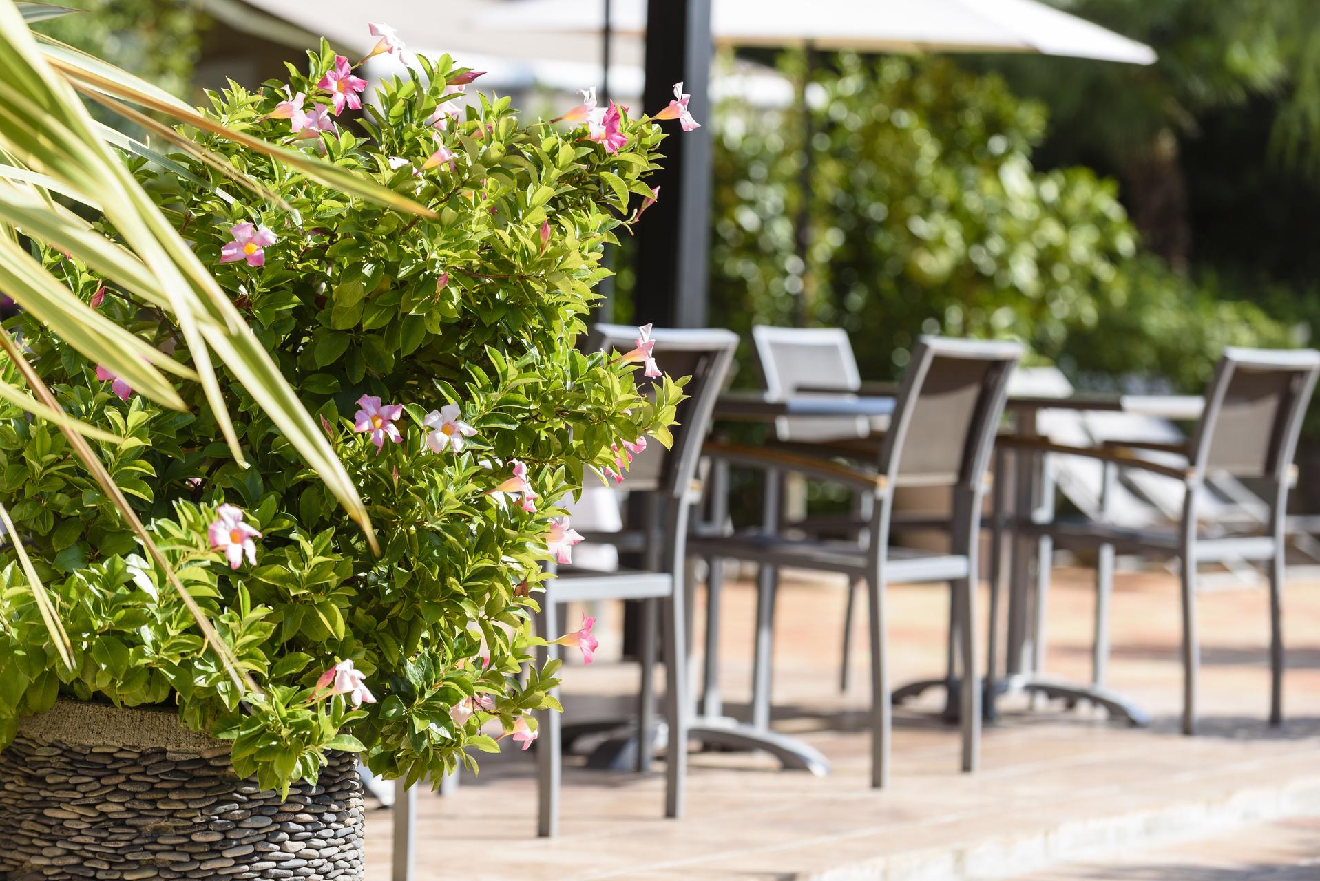 Domaine Du Calidianus Hotel Sainte-Maxime Kültér fotó